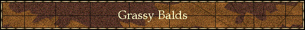 Grassy Balds