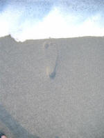 foamy surf meets Joe�s footprint