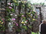 Cascade Wall water drops down over 16 feet of stone.