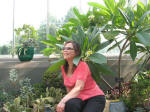 Vi sits under the frangipani near prickly pear cactus.